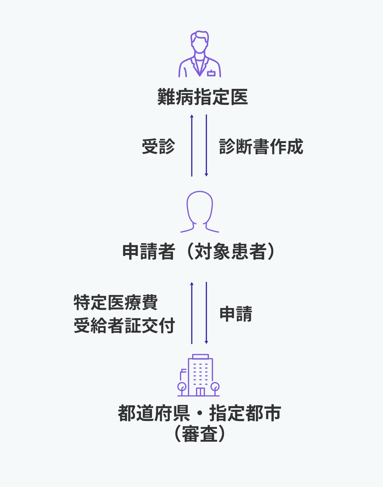 特定医療費(指定難病)の申請から受給者証交付までの流れを示す図