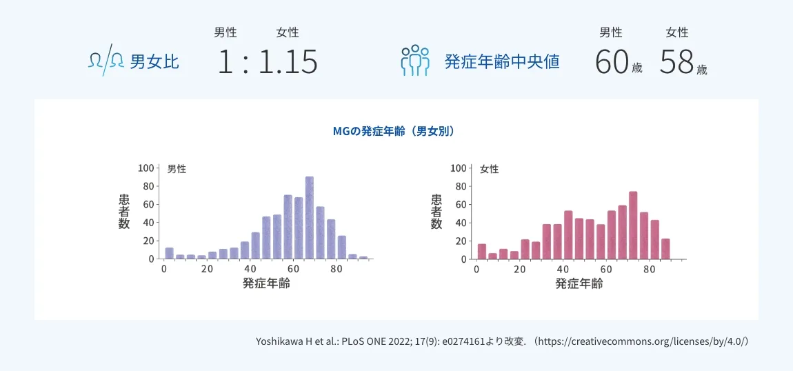 重症筋無力症(MG)の男女差(女性がやや多い)と男女別の発症年齢分布を示す図