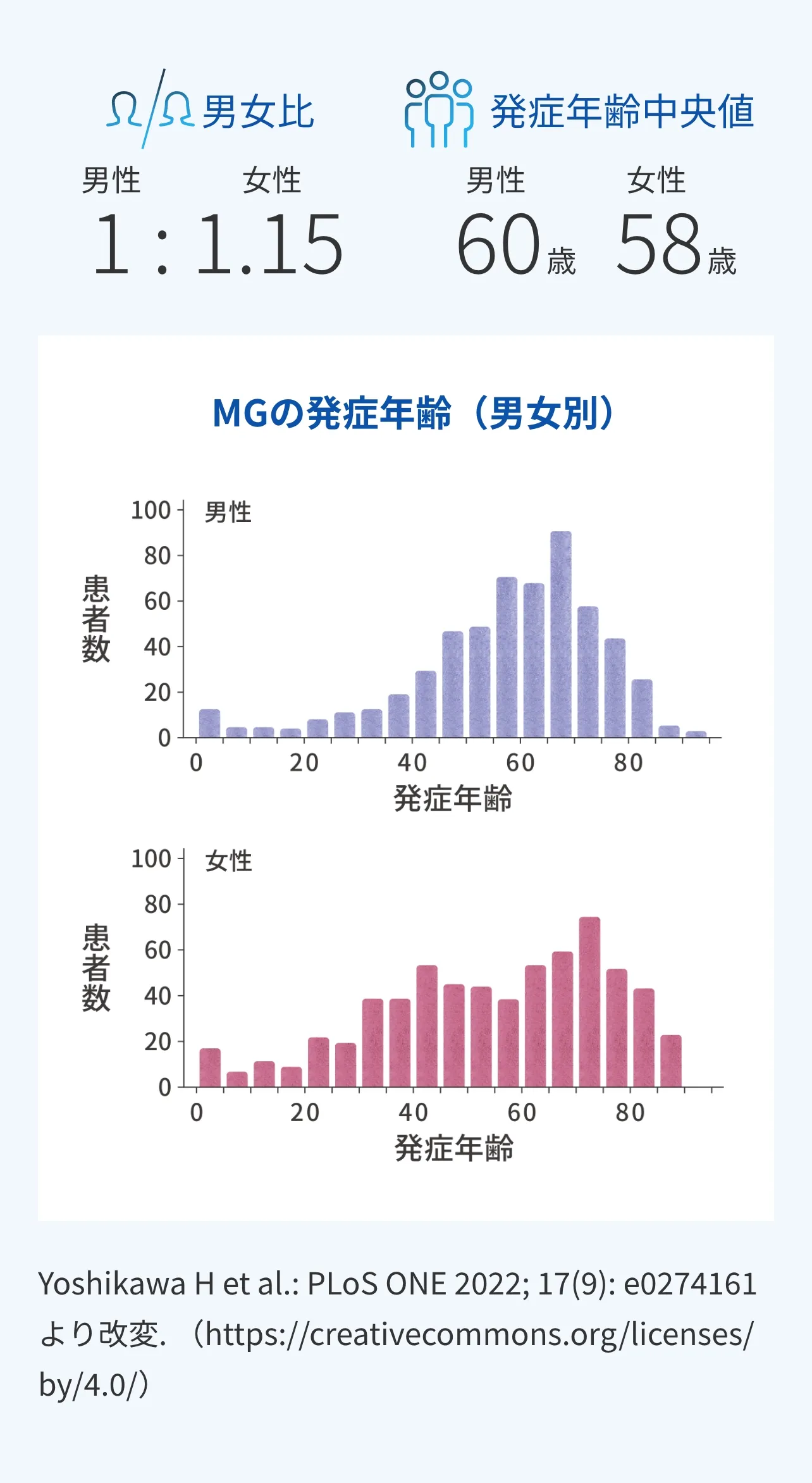 重症筋無力症(MG)の男女差(女性がやや多い)と男女別の発症年齢分布を示す図