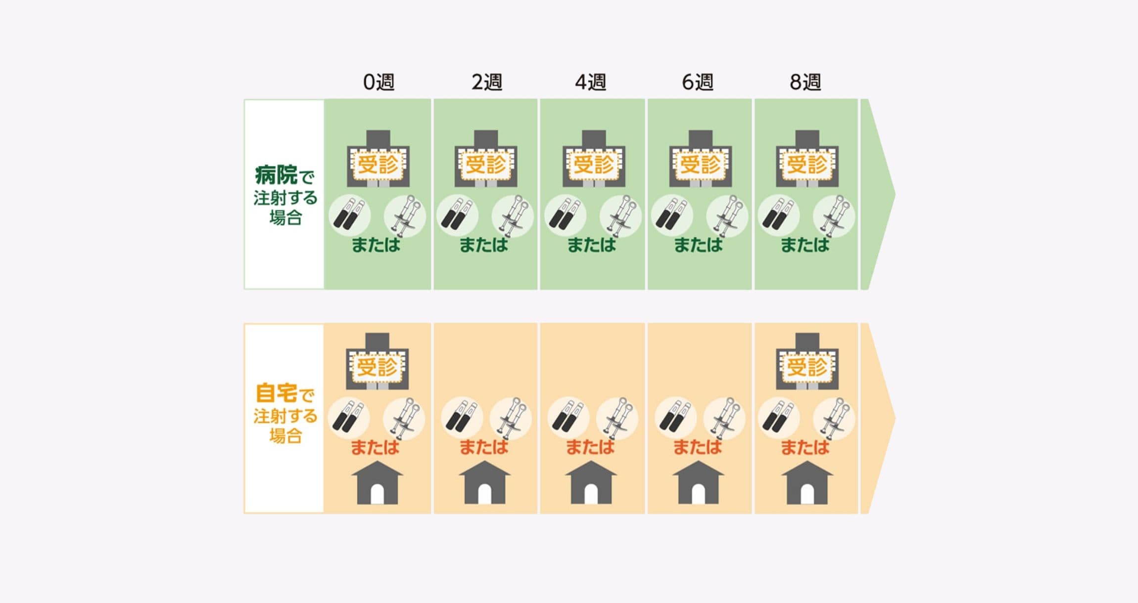 シムジア®を2週間に1回投与する場合の投与スケジュールを示した図