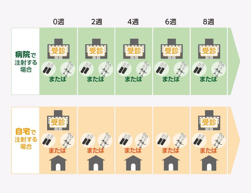 シムジア®を2週間に1回投与する場合の投与スケジュールを示した図