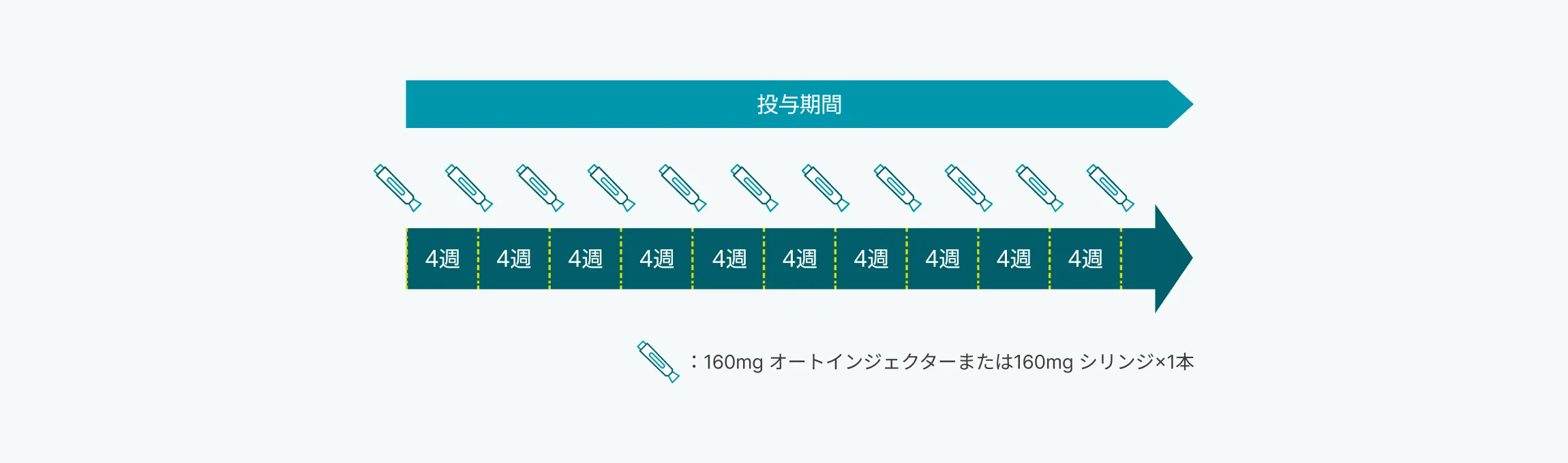 尋常性乾癬などにおけるビンゼレックスの投与スケジュールを示した図